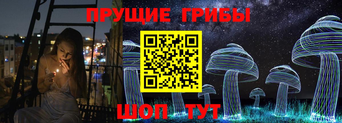 Псилоцибиновые грибы прущие грибы Киров